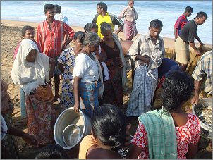 Men and women working together in the fishing industry