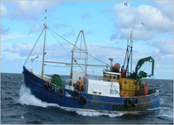 Anglo-North Irish Fish Producers Organisation (ANIFPO)