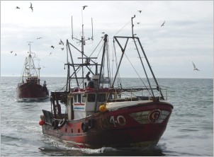 Anglo-North Irish Fish Producers Organisation (ANIFPO)